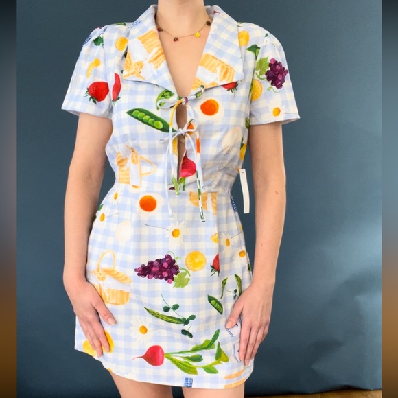 NWT Lisa Says Gah Picnic Alfresco Gingham Alexa Shirtdress XS - Picture 2 of 13